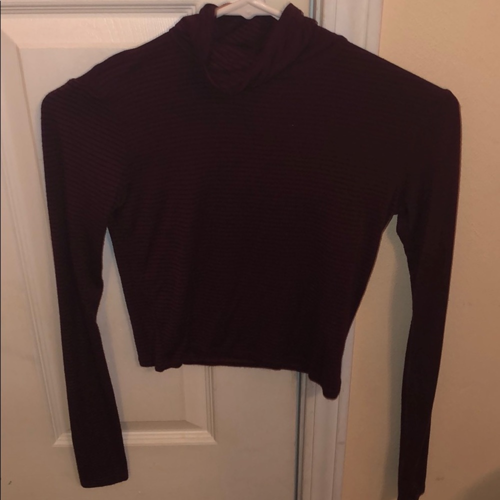 Small cropped turtle neck